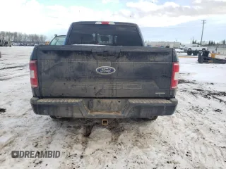 2019 Ford F-150 XL with VIN 1FTEW1EP9KKD61251, listed as a Copart auction lot 81344233 with 141,639 mi miles and Salvage title. Bid and sale history available at DreamBid. Image 6.
