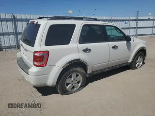 2011 Ford Escape XLT with VIN 1FMCU9D74BKC53967, listed as a Copart auction lot 79251934 with 132,215 mi miles and Salvage title. Bid and sale history available at DreamBid. Image 3.