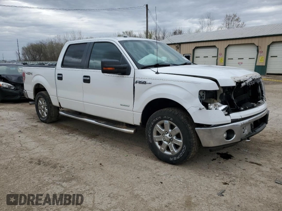 2013 Ford F-150 XL with VIN 1FTFW1ET8DFA58698, listed as a Copart auction lot 51851825 with 160,580 mi miles and Salvage Title. Bid and sale history available at carsss.com. Image 4.