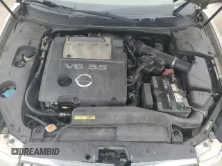 2005 Nissan Maxima 3.5 SE with VIN 1N4BA41E85C841518, listed as a Copart auction lot 48256535 with 226,023 mi miles and Salvage Title. Bid and sale history available at carsss.com. Image 12.