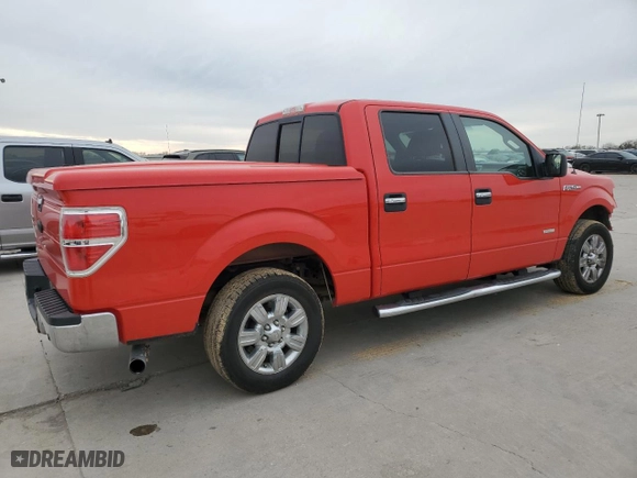 2011 Ford F-150 XLT with VIN 1FTFW1CT9BFB32016, listed as a Copart auction lot 48176945 with 217,168 mi miles and Salvage Title. Bid and sale history available at carsss.com. Image 3.