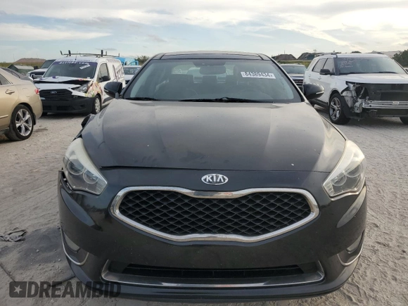 2014 Kia Cadenza Premium with VIN KNALN4D77E5138607, listed as a Copart auction lot 84389434 with 124,985 mi miles and Salvage Title. Bid and sale history available at carsss.com. Image 5.