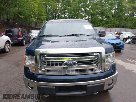 2013 Ford F-150 XL with VIN 1FTFX1EFXDFB89719, listed as a IAAI auction lot 42310707 with 142,977 mi miles and . Bid and sale history available at DreamBid. Image 13.
