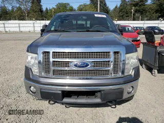 2011 Ford F-150 XLT with VIN 1FTFW1ET3BFB63789, listed as a Copart auction lot 54613875 with 152,982 mi miles and Salvage Title. Bid and sale history available at carsss.com. Image 5.