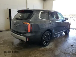 2024 Kia Telluride SX X-Line with VIN 5XYP5DGC8RG419163, listed as a Copart auction lot 48467455 with 31,089 mi miles and Salvage Title. Bid and sale history available at carsss.com. Image 3.