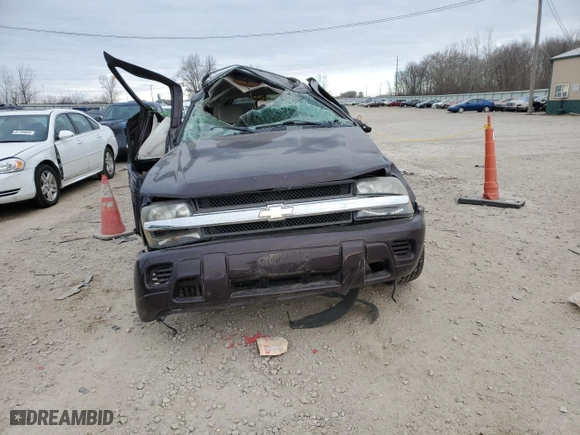 2008 Chevrolet TrailBlazer LT w/1LT with VIN 1GNDS13S482216830, listed as a Copart auction lot 82659304 with 0 mi miles and Salvage Title. Bid and sale history available at carsss.com. Image 5.