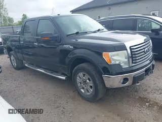 2010 Ford F-150 XL with VIN 1FTFW1E83AFB88640, listed as a IAAI auction lot 42124662 with 346,893 mi miles and . Bid and sale history available at DreamBid. Image 1.