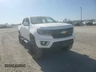 2016 Chevrolet Colorado 4WD Z71 with VIN 1GCGTDE34G1241791, listed as a Copart auction lot 50079785 with 204,598 mi miles and Salvage Title. Bid and sale history available at carsss.com. Image 11.