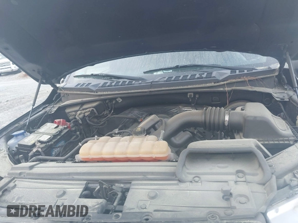 2018 Ford F-150 XL with VIN 1FTEW1C50JFD23545, listed as a IAAI auction lot 41838209 with 129,906 mi miles and . Bid and sale history available at DreamBid. Image 10.
