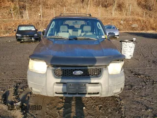 2004 Ford Escape XLS with VIN 1FMCU92134KB88319, listed as a Copart auction lot 84243494 with 158,052 mi miles and Salvage Title. Bid and sale history available at DreamBid. Image 5.