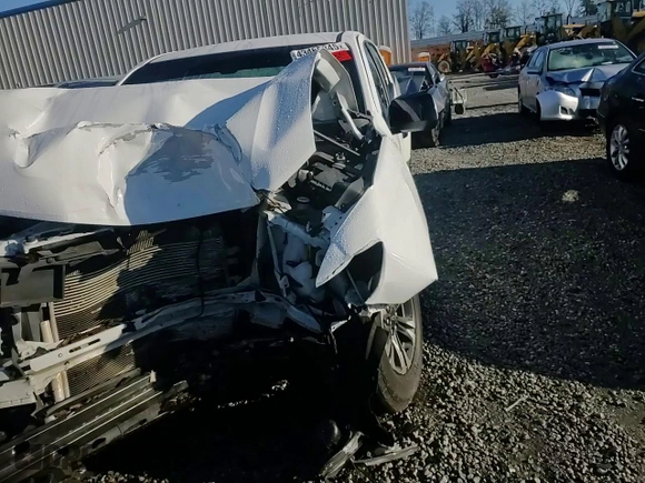 2021 Chevrolet Colorado 2WD Z71 with VIN 1GCGSDEN8M1298995, listed as a Copart auction lot 43465845 with Not provided miles and Salvage title. Bid and sale history available at DreamBid. Image 11.
