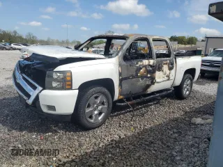 2009 Chevrolet Silverado 1500 LT with VIN 3GCEC23J29G120288, listed as a Copart auction lot 51254815 with 0 mi miles and Non Repairable. Bid and sale history available at carsss.com. Image 1.