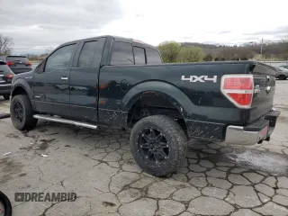 2014 Ford F-150 XL with VIN 1FTFX1ET9EFB82879, listed as a Copart auction lot 49855315 with 142,217 mi miles and Salvage title. Bid and sale history available at DreamBid. Image 2.