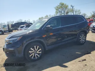 2021 Honda Pilot EX-L with VIN 5FNYF6H51MB043418, listed as a Copart auction lot 53618785 with 38,173 mi miles and Salvage title. Bid and sale history available at DreamBid. Image 1.