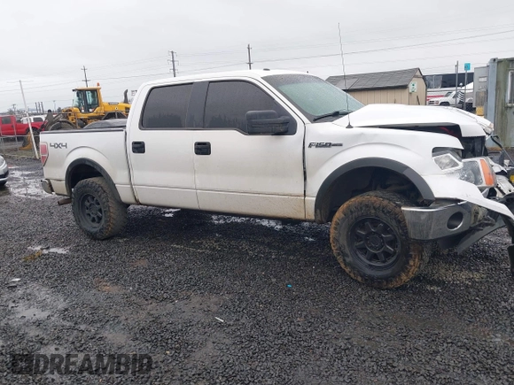 2014 Ford F-150 XL with VIN 1FTFW1EF1EFB50926, listed as a IAAI auction lot 41721129 with 154,174 mi miles. Bid and sale history available at carsss.com. Image 14.
