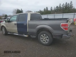 2009 Ford F-150 XL with VIN 1FTRW14869FA71127, listed as a Copart auction lot 81552544 with Not provided miles and Salvage title. Bid and sale history available at DreamBid. Image 2.