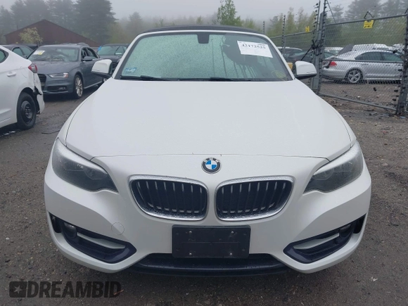 2017 BMW 2 Series with VIN WBA2M9C3XH7A47692, listed as a IAAI auction lot 42172525 with 69,504 mi miles and . Bid and sale history available at DreamBid. Image 13.