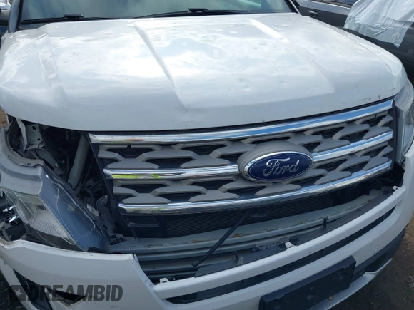 2018 Ford Explorer XLT with VIN 1FM5K8DHXJGB35179, listed as a IAAI auction lot 41469559 with 118,868 mi miles and . Bid and sale history available at DreamBid. Image 16.