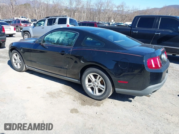 2011 Ford Mustang V6 with VIN 1ZVBP8AM2B5153163, listed as a IAAI auction lot 41645917 with 286,609 mi miles and . Bid and sale history available at carsss.com. Image 3.