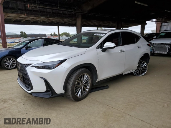 2025 Lexus NX 350 Premium with VIN JTJGGCEZ4S5010472, listed as a Copart auction lot 54560975 with 9,587 mi miles and Salvage title. Bid and sale history available at DreamBid. Image 1.