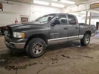 2002 Dodge 1500 with VIN 1D7HU18N42S581898, listed as a Copart auction lot 45700605 with 185,689 mi miles and Salvage Title. Bid and sale history available at carsss.com. Image 1.