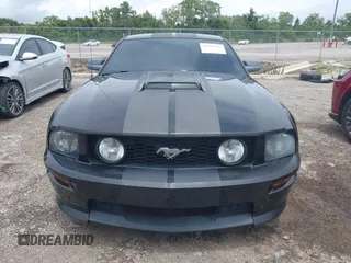2009 Ford Mustang GT with VIN 1ZVHT82H595126914, listed as a IAAI auction lot 42619745 with 76,097 mi miles and . Bid and sale history available at DreamBid. Image 12.
