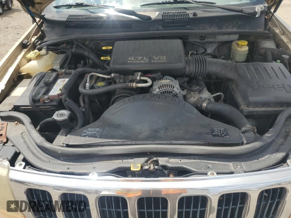 1999 Jeep Grand Cherokee Laredo with VIN 1J4GW58N7XC799434, listed as a Copart auction lot 64790905 with 272,384 mi miles and Salvage title. Bid and sale history available at DreamBid. Image 12.