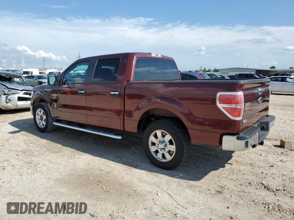 2010 Ford F-150 XL with VIN 1FTEW1C87AFD03660, listed as a Copart auction lot 53925855 with 252,174 mi miles and Clean Title. Bid and sale history available at DreamBid. Image 2.