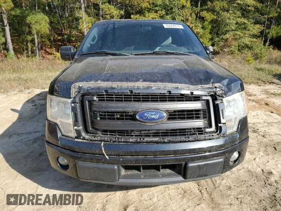 2014 Ford F-150 XL with VIN 1FTFX1CF4EFB24806, listed as a Copart auction lot 76672874 with 144,886 mi miles and Salvage title. Bid and sale history available at DreamBid. Image 5.