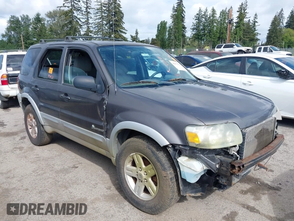 2006 Ford Escape Hybrid with VIN 1FMCU96HX6KC96124, listed as a IAAI auction lot 42272741 with Not provided miles and . Bid and sale history available at DreamBid. Image 1.
