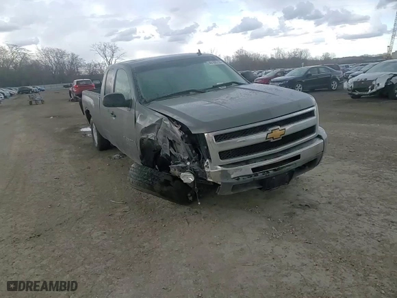 2009 Chevrolet Silverado 1500 LT with VIN 1GCEK29039Z252901, listed as a Copart auction lot 49188715 with 194,826 mi miles and Salvage Title. Bid and sale history available at carsss.com. Image 10.