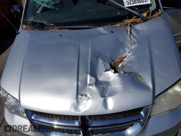 2011 Dodge Grand Caravan SXT with VIN 2D4RN4DG0BR603288, listed as a Copart auction lot 52589005 with 125,403 mi miles and Salvage Title. Bid and sale history available at DreamBid. Image 12.