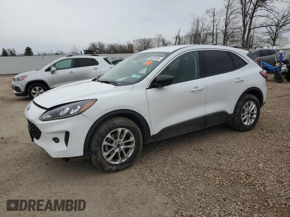 2022 Ford Escape SE with VIN 1FMCU9G61NUB14505, listed as a Copart auction lot 50307425 with 8,265 mi miles and Salvage title. Bid and sale history available at DreamBid. Image 1.
