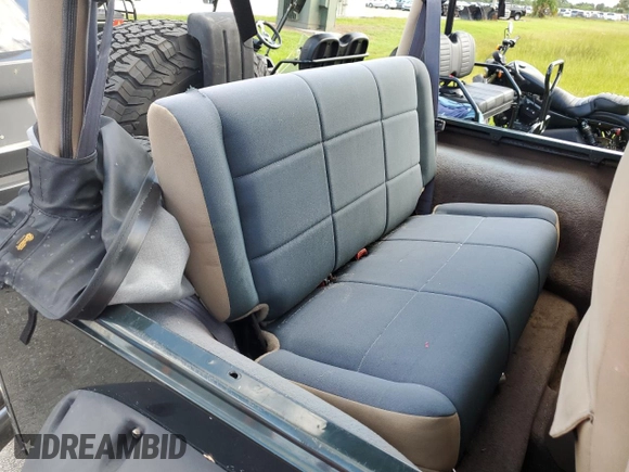 2002 Jeep Wrangler Sahara with VIN 1J4FA59S12P766719, listed as a Copart auction lot 74331964 with 128,881 mi miles and Non Repairable. Bid and sale history available at carsss.com. Image 11.