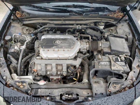 2012 Acura TL Tech Auto with VIN 19UUA8F50CA035489, listed as a Copart auction lot 55092395 with 0 mi miles and Clean Title. Bid and sale history available at carsss.com. Image 14.