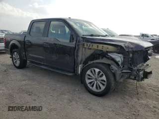 2018 Ford F-150 XL with VIN 1FTEW1CP2JKF67447, listed as a Copart auction lot 49094525 with 159,975 mi miles and Salvage Title. Bid and sale history available at carsss.com. Image 4.
