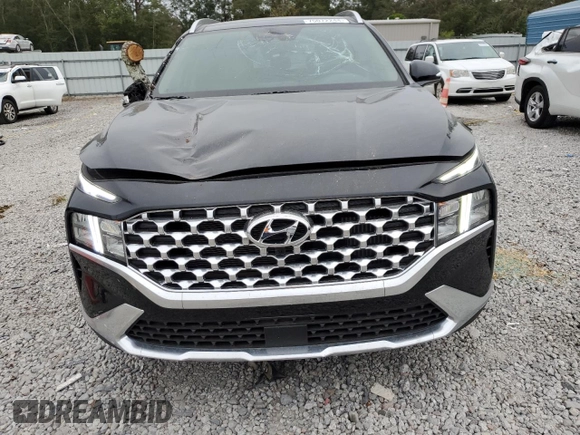 2023 Hyundai Santa Fe Hybrid SEL Premium with VIN 5NMS3DA14PH018462, listed as a Copart auction lot 75072244 with 5,047 mi miles and Salvage Title. Bid and sale history available at carsss.com. Image 5.