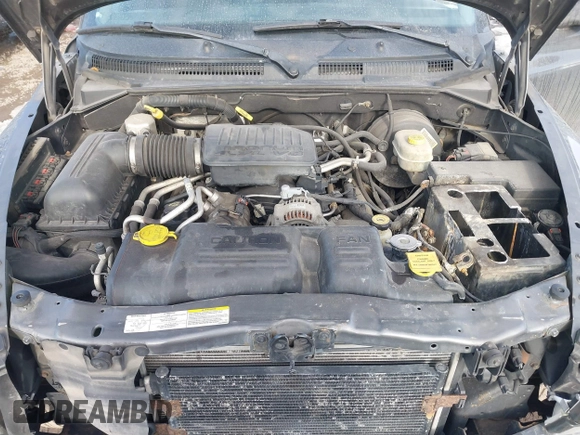2004 Dodge Dakota SLT with VIN 1D7HG48N44S701906, listed as a IAAI auction lot 41662483 with 202,575 mi miles and . Bid and sale history available at carsss.com. Image 10.