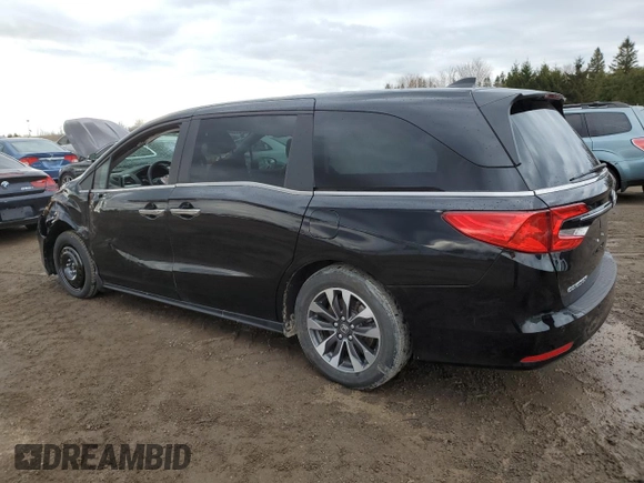 2024 Honda Odyssey EX-L with VIN 5FNRL6H69RB501705, listed as a Copart auction lot 53372625 with 29,603 mi miles and Clean Title. Bid and sale history available at DreamBid. Image 2.