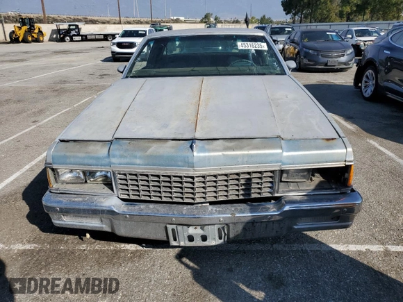 1979 Chevrolet Caprice z VIN 1N47L9C124570, wystawiony jako Copart lot #48075605 z przebiegiem 7219 mil mil oraz Czysty tytuł • Clean title. Historia ofert i sprzedaży dostępna na DreamBid. Obrazek 5.