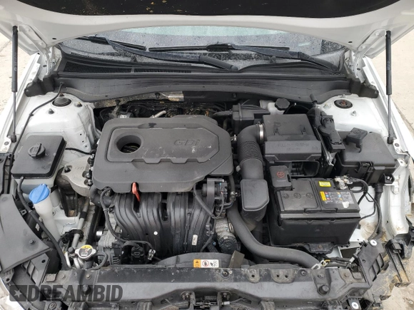 2019 Kia Optima LX with VIN 5XXGT4L31KG330542, listed as a Copart auction lot 50617965 with 46,105 mi miles and Salvage Title. Bid and sale history available at carsss.com. Image 11.