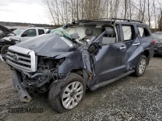 2010 Toyota Sequoia Platinum with VIN 5TDDY5G13AS024314, listed as a Copart auction lot 44349705 with 0 mi miles and Salvage Title. Bid and sale history available at carsss.com. Image 1.
