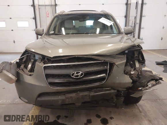 2009 Hyundai Santa Fe SE with VIN 5NMSH73EX9H233513, listed as a IAAI auction lot 42272756 with 155,262 mi miles and . Bid and sale history available at DreamBid. Image 12.