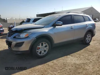2011 Mazda CX-9 Touring with VIN JM3TB3CA6B0306692, listed as a Copart auction lot 61077835 with 189,151 mi miles and Salvage title. Bid and sale history available at DreamBid. Image 1.