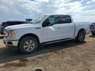 2019 Ford F-150 XL with VIN 1FTEW1EPXKKC50501, listed as a Copart auction lot 62301215 with 79,065 mi miles and Salvage title. Bid and sale history available at DreamBid. Image 1.