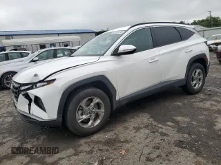 2023 Hyundai Tucson SEL z VIN 5NMJBCAE3PH182443, wystawiony jako Copart lot #58931645 z przebiegiem 29 489 mil mil oraz Szkoda całkowita • Salvage title. Historia ofert i sprzedaży dostępna na DreamBid. Obrazek 1.