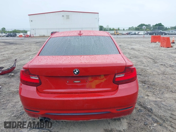 2016 BMW 2 Series 228i with VIN WBA1F9C54GV742703, listed as a IAAI auction lot 42209964 with 114,330 mi miles and . Bid and sale history available at DreamBid. Image 17.