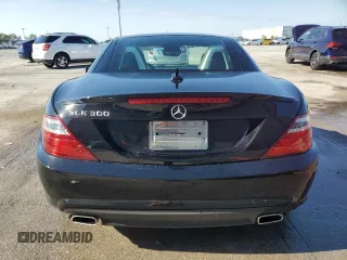2016 Mercedes-Benz SLK 300 with VIN WDDPK3JA2GF116010, listed as a Copart auction lot 53299315 with 50,295 mi miles and Salvage Title. Bid and sale history available at DreamBid. Image 6.