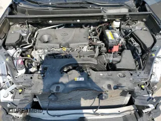 2019 Toyota RAV4 XLE Premium with VIN JTMA1RFV7KD026132, listed as a Copart auction lot 48594395 with 34,671 mi miles and Salvage Title. Bid and sale history available at carsss.com. Image 12.