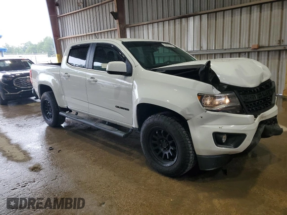 2019 Chevrolet Colorado 2WD LT with VIN 1GCGSCEN3K1169649, listed as a Copart auction lot 64862795 with 64,018 mi miles and Salvage title. Bid and sale history available at DreamBid. Image 4.